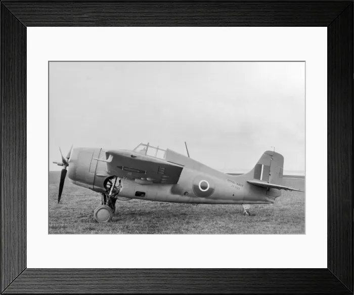 Framed Print : Grumman Wildcat Framed Print : Grumman Wildcat