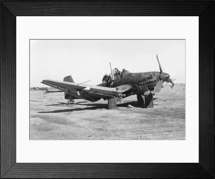 Framed Print : Junkers Ju-87 Stuka Framed Print : Junkers Ju-87 Stuka