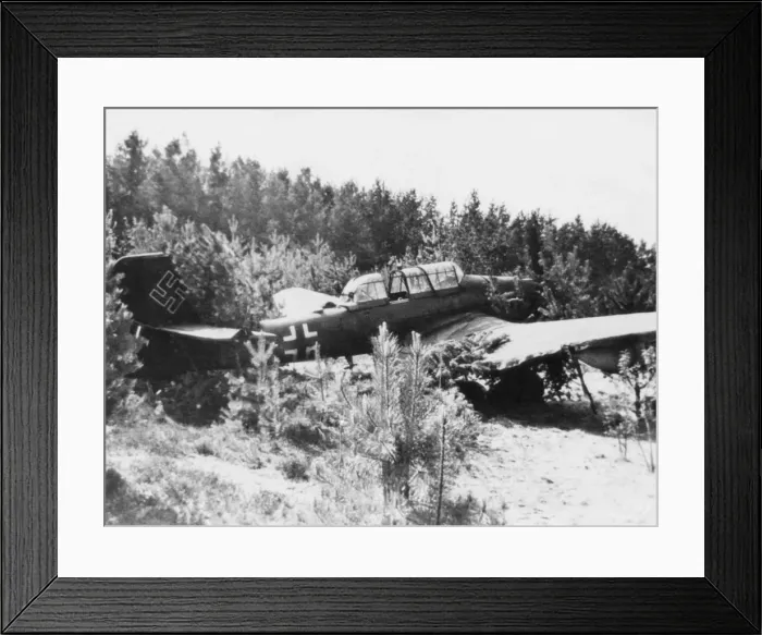 Framed Print : Junkers Ju-87 Stuka Framed Print : Junkers Ju-87 Stuka
