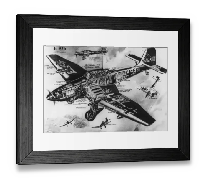 Framed Print : Junkers Ju-87D Stuka Framed Print : Junkers Ju-87D Stuka