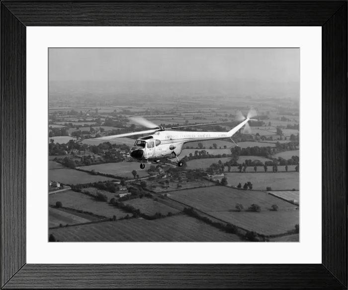 Framed Print : Bristol 171 Sycamore Mk 3A Framed Print : Bristol 171 Sycamore Mk 3A