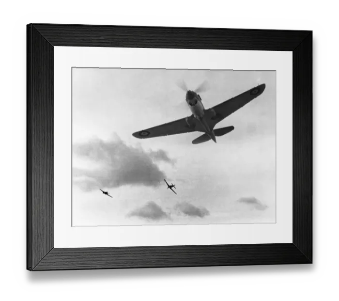 Framed Print : Curtiss P-40 Warhawk Framed Print : Curtiss P-40 Warhawk