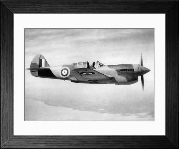 Framed Print : Curtiss P-40 Warhawk Framed Print : Curtiss P-40 Warhawk