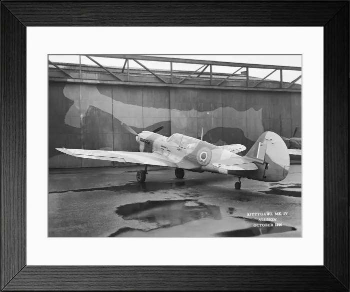 Framed Print : Curtiss P-40 Warhawk Framed Print : Curtiss P-40 Warhawk
