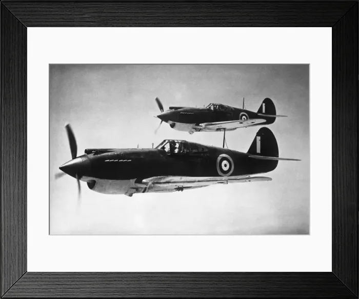Framed Print : Curtiss P-40 Warhawk Framed Print : Curtiss P-40 Warhawk