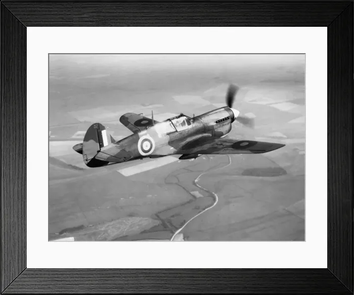 Framed Print : Curtiss P-40 Warhawk Framed Print : Curtiss P-40 Warhawk