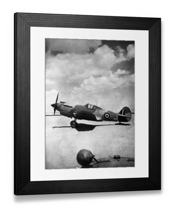 Framed Print : Curtiss P-40 Warhawk Framed Print : Curtiss P-40 Warhawk