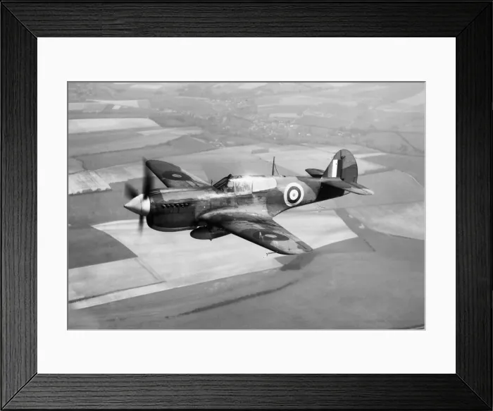 Framed Print : Curtiss P-40 Warhawk Framed Print : Curtiss P-40 Warhawk