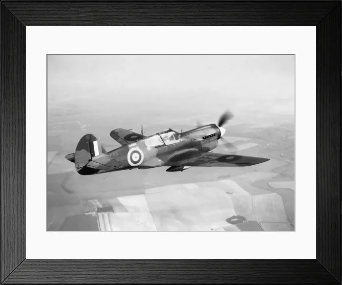 Framed Print : Curtiss P-40 Warhawk Framed Print : Curtiss P-40 Warhawk