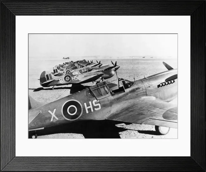 Framed Print : Curtiss P-40 Warhawk Framed Print : Curtiss P-40 Warhawk