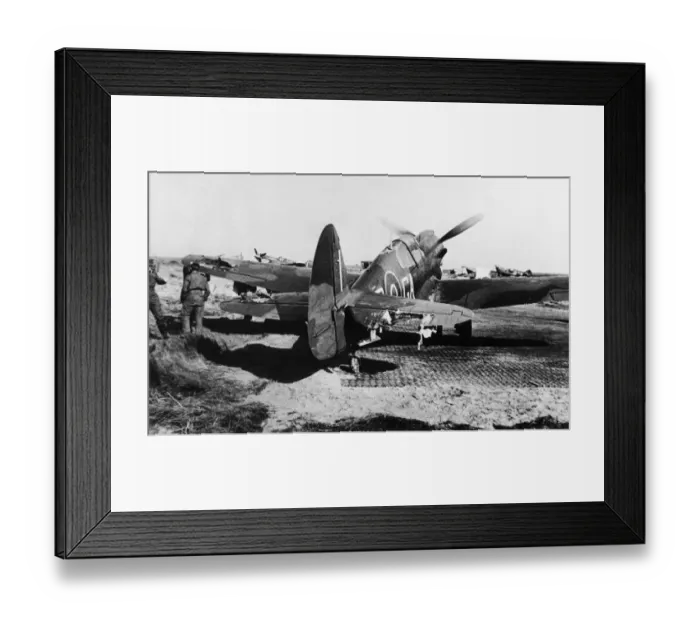 Framed Print : Curtiss P-40 Warhawk Framed Print : Curtiss P-40 Warhawk