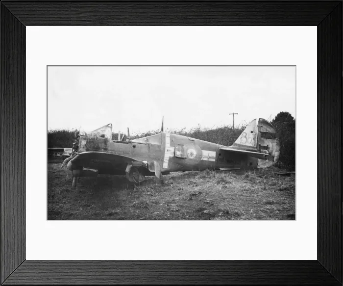 Framed Print : Curtiss P-40 Warhawk Framed Print : Curtiss P-40 Warhawk