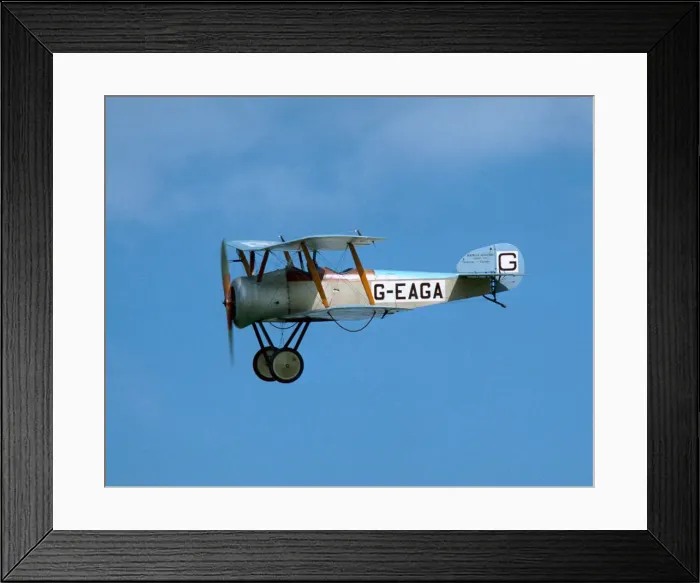 Framed Print : Sopwith Dove Framed Print : Sopwith Dove