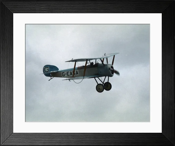 Framed Print : Sopwith Dove Framed Print : Sopwith Dove