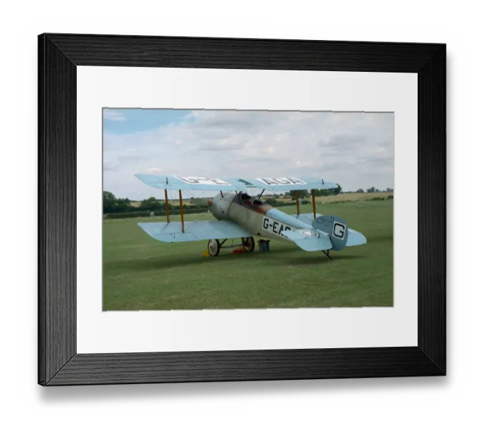 Framed Print : Sopwith Dove Framed Print : Sopwith Dove