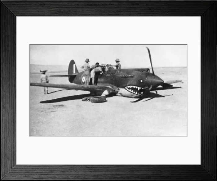 Framed Print : Curtiss P-40 Warhawk Framed Print : Curtiss P-40 Warhawk