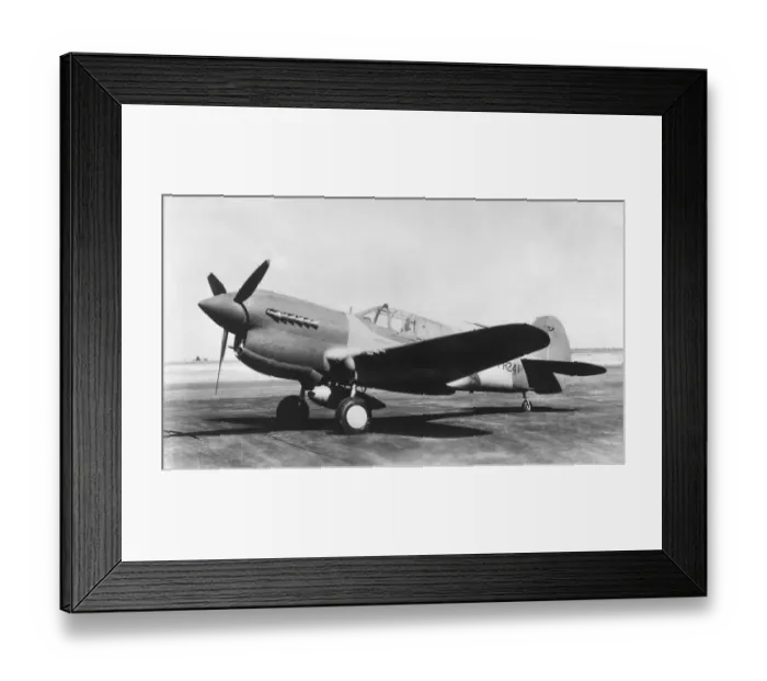 Framed Print : Curtiss P-40 Warhawk Framed Print : Curtiss P-40 Warhawk
