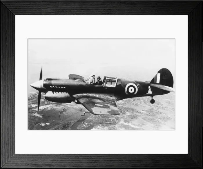 Framed Print : Curtiss P-40 Warhawk Framed Print : Curtiss P-40 Warhawk