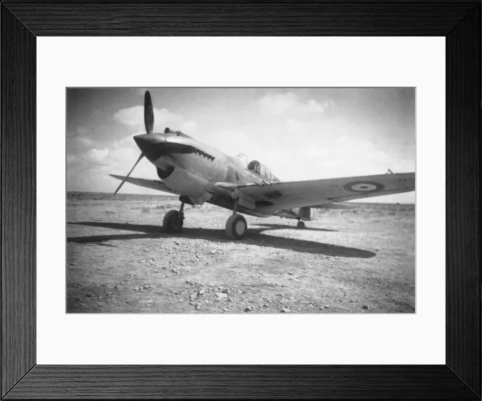 Framed Print : Curtiss P-40 Warhawk Framed Print : Curtiss P-40 Warhawk
