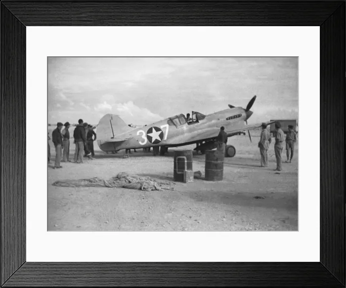 Framed Print : Curtiss P-40 Warhawk Framed Print : Curtiss P-40 Warhawk