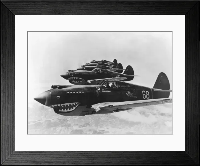 Framed Print : Curtiss P-40 Warhawk Framed Print : Curtiss P-40 Warhawk