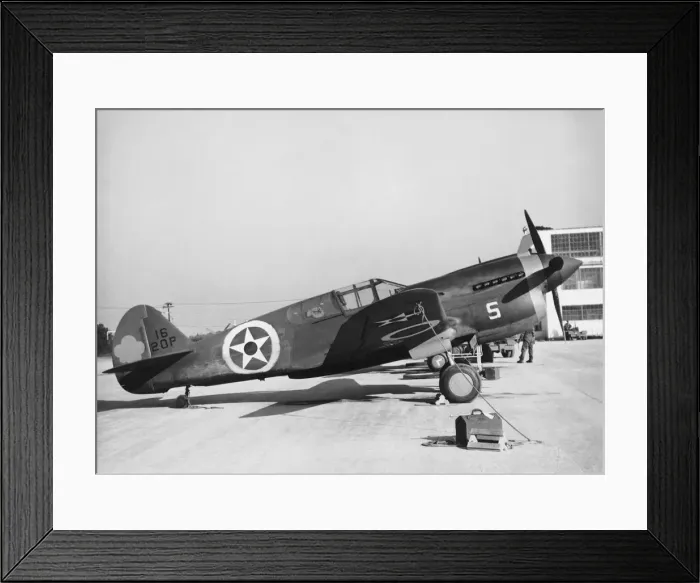Framed Print : Curtiss P-40 Warhawk Framed Print : Curtiss P-40 Warhawk
