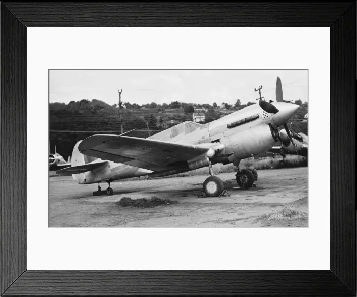 Framed Print : Curtiss P-40 Warhawk Framed Print : Curtiss P-40 Warhawk