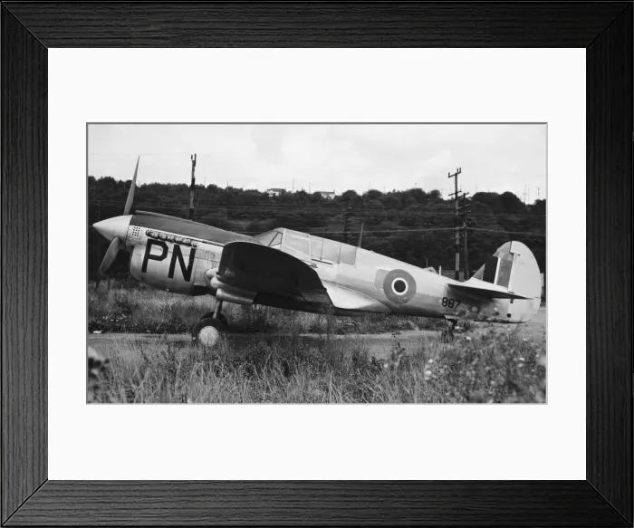 Framed Print : Curtiss P-40 Warhawk Framed Print : Curtiss P-40 Warhawk