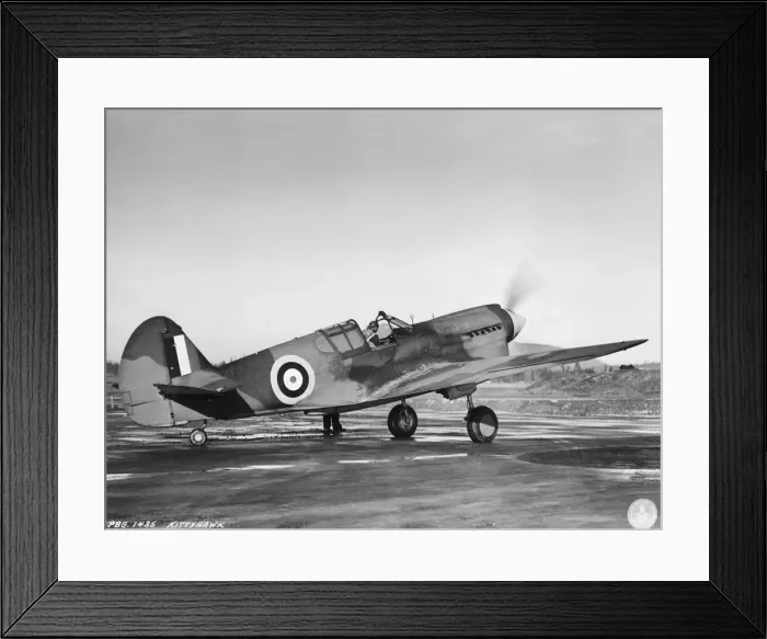 Framed Print : Curtiss P-40 Warhawk Framed Print : Curtiss P-40 Warhawk