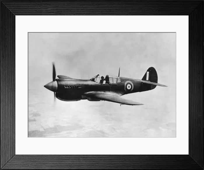 Framed Print : Curtiss P-40 Warhawk Framed Print : Curtiss P-40 Warhawk