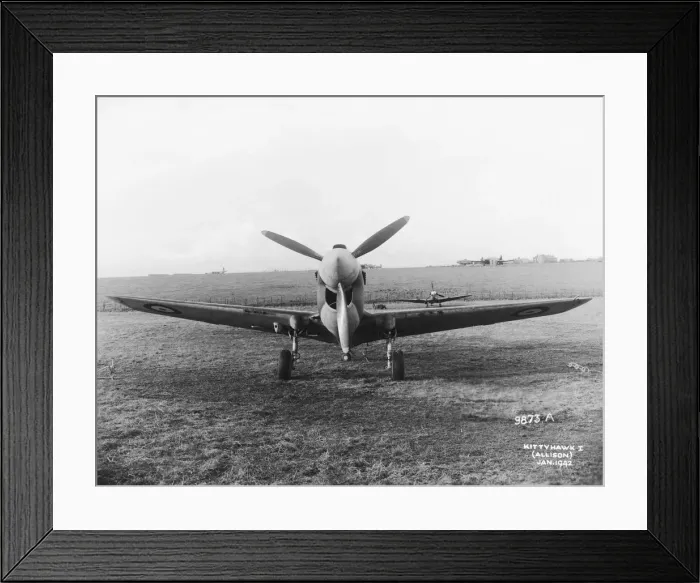 Framed Print : Curtiss P-40 Warhawk Framed Print : Curtiss P-40 Warhawk