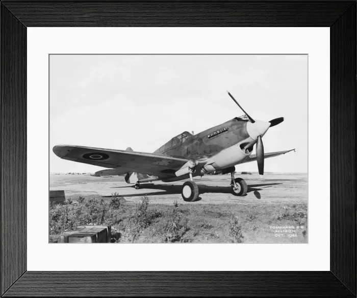 Framed Print : Curtiss P-40 Warhawk Framed Print : Curtiss P-40 Warhawk