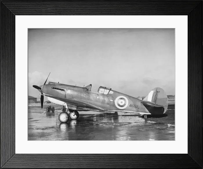 Framed Print : Curtiss P-40 Warhawk Framed Print : Curtiss P-40 Warhawk