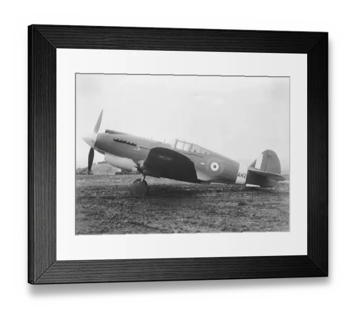 Framed Print : Curtiss P-40 Warhawk Framed Print : Curtiss P-40 Warhawk