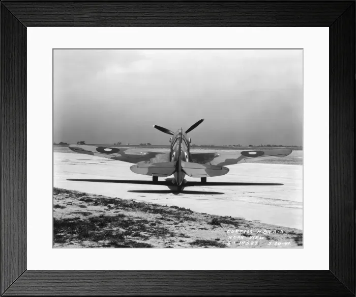 Framed Print : Curtiss P-40 Warhawk Framed Print : Curtiss P-40 Warhawk