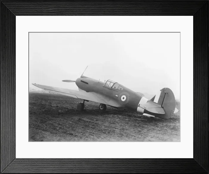 Framed Print : Curtiss P-40 Warhawk Framed Print : Curtiss P-40 Warhawk