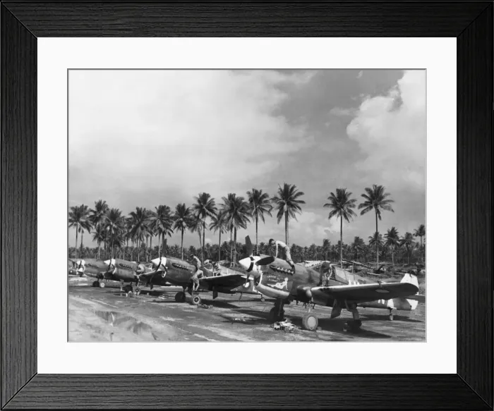 Framed Print : Curtiss P-40 Warhawk Framed Print : Curtiss P-40 Warhawk