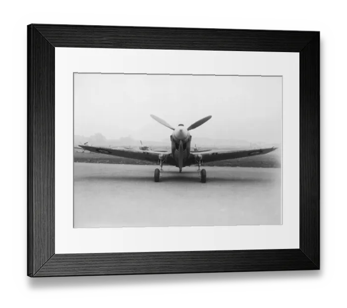 Framed Print : Curtiss P-40 Warhawk Framed Print : Curtiss P-40 Warhawk