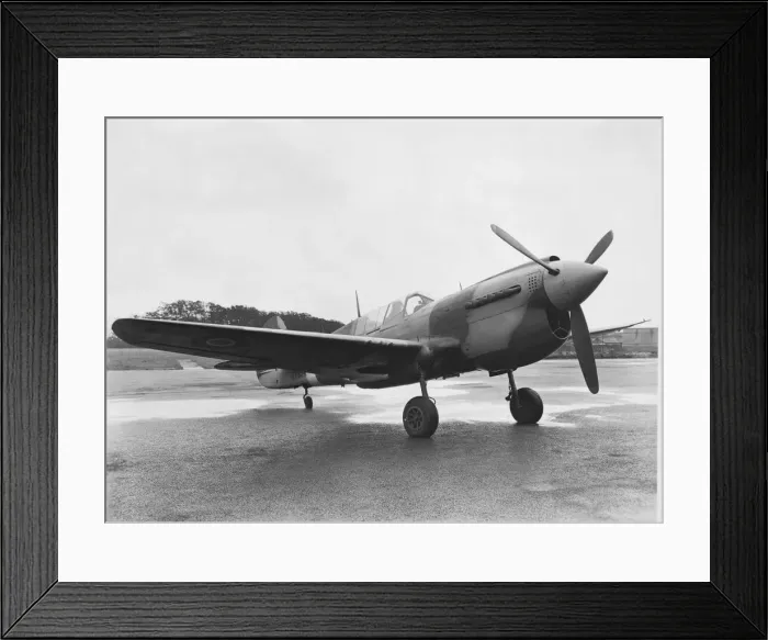 Framed Print : Curtiss P-40 Warhawk Framed Print : Curtiss P-40 Warhawk