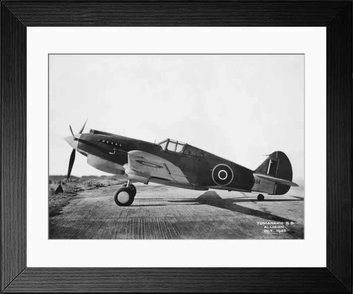 Framed Print : Curtiss P-40 Warhawk Framed Print : Curtiss P-40 Warhawk