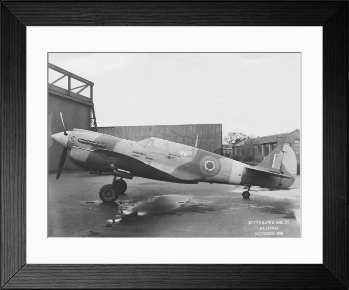 Framed Print : Curtiss P-40 Warhawk Framed Print : Curtiss P-40 Warhawk