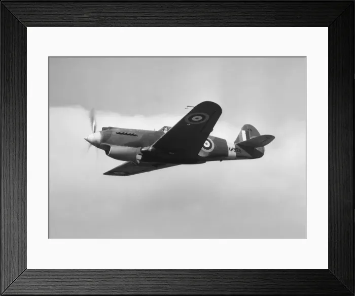 Framed Print : Curtiss P-40 Warhawk Framed Print : Curtiss P-40 Warhawk