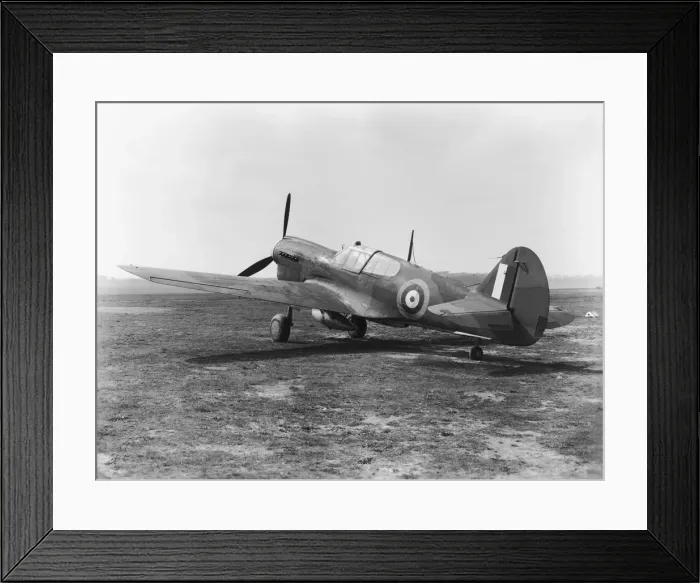 Framed Print : Curtiss P-40 Warhawk Framed Print : Curtiss P-40 Warhawk