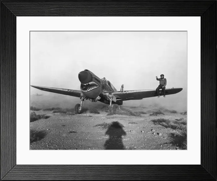 Framed Print : Curtiss P-40 Warhawk Framed Print : Curtiss P-40 Warhawk