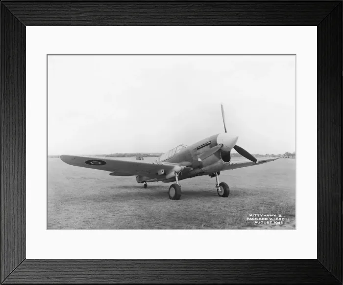 Framed Print : Curtiss P-40 Warhawk Framed Print : Curtiss P-40 Warhawk
