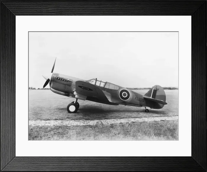 Framed Print : Curtiss P-40 Warhawk Framed Print : Curtiss P-40 Warhawk