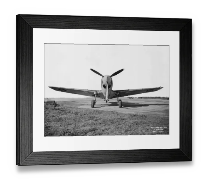 Framed Print : Curtiss P-40 Warhawk Framed Print : Curtiss P-40 Warhawk