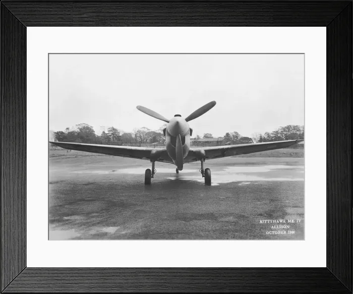 Framed Print : Curtiss P-40 Warhawk Framed Print : Curtiss P-40 Warhawk