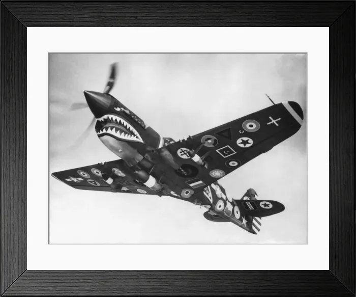 Framed Print : Curtiss P-40 Warhawk Framed Print : Curtiss P-40 Warhawk