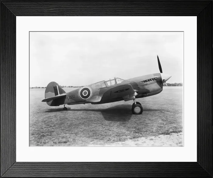 Framed Print : Curtiss P-40 Warhawk Framed Print : Curtiss P-40 Warhawk